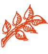 fa